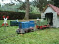 dsc06549.jpg