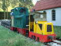 dsc06633.jpg