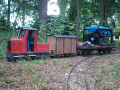 dsc06434.jpg