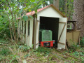 dsc05239.jpg