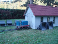 dsc06656.jpg