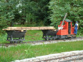 dsc07925.jpg