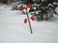 dsc08545.jpg