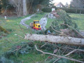 dsc08757.jpg