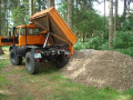 dsc08826.jpg