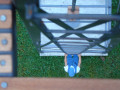 dsc08309.jpg
